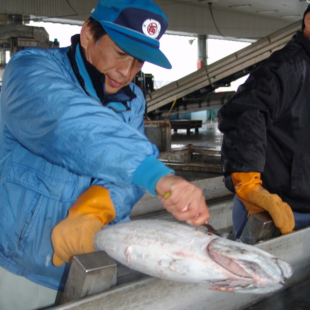 静岡盛り 海の幸詰合せ