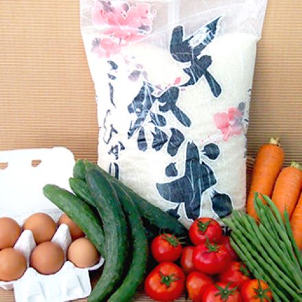 福島県産 コシヒカリ 5kg 矢祭米と野菜 米たまごのセット 令和3年産
