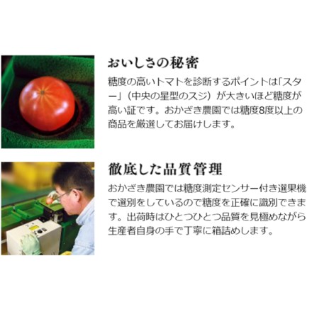おかざき農園 機能性表示食品 リサ･クラシック フルーツトマトジュース 500ml