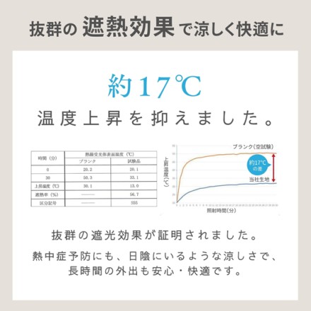 超軽量カーボン 完全遮光 晴雨兼用傘 aero グレー