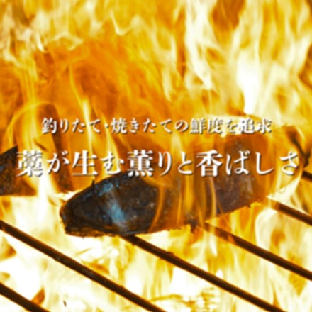 高知県　一本釣り地鰹の藁焼きタタキ 旬凍 3～4人前