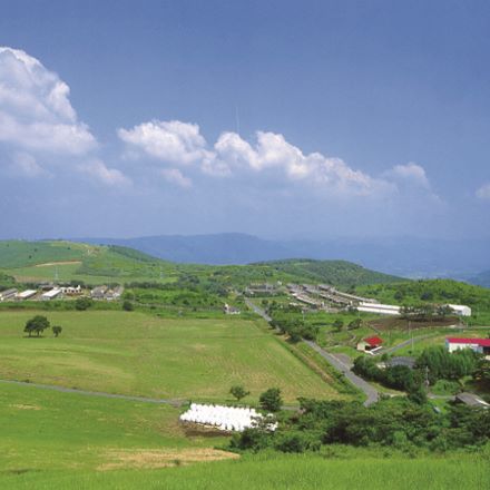 鹿児島黒豚 ハンバーグ 1200g(100g×12個入り)