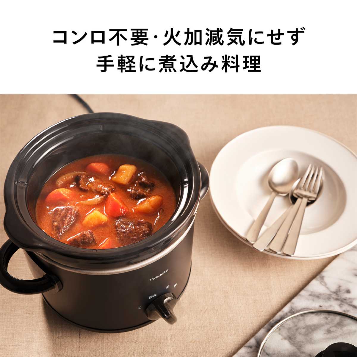 ツインバード スロークッカー 家庭用 ブラック EP-4714B