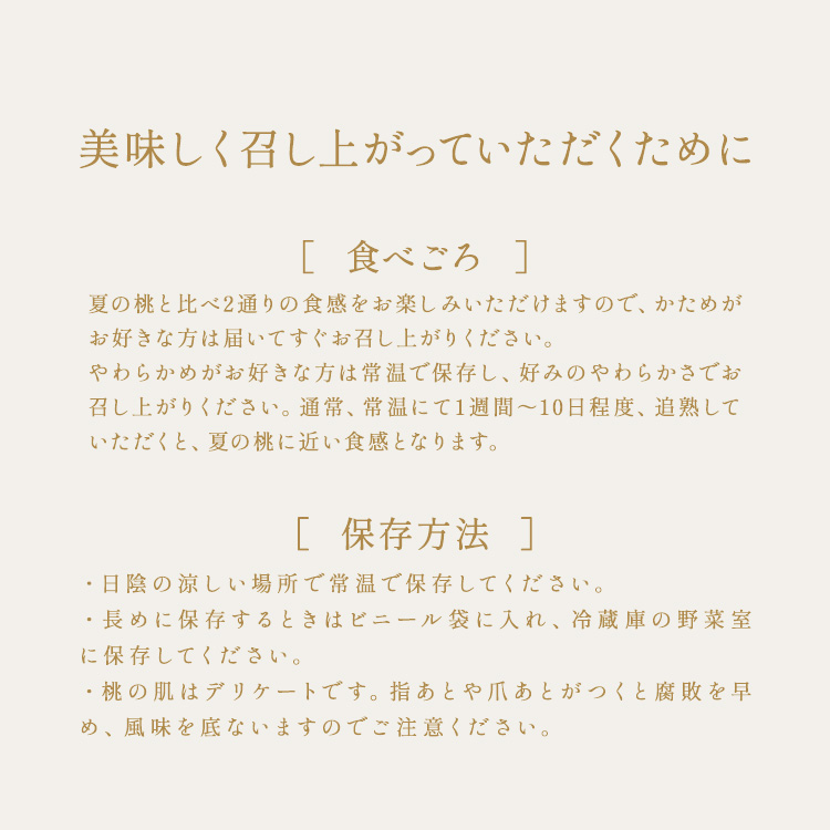 11月下旬以降順次発送】 岡山県産 白桃 冬桃がたり 贈答用 6～9玉入り