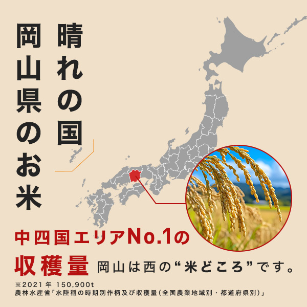 岡山県産 あさひ 白米 10kg 令和7年産