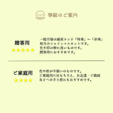 【9月中旬以降順次発送】シャインマスカット 岡山 贈答用 超大房 1房入 900g以上