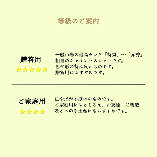 岡山県産 シャインマスカット 贈答用 大房２房 (約1.5kg)