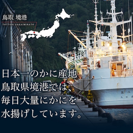 鳥取県 境港産 ボイル 紅ずわい蟹 A級 5尾 セット 1尾あたり 約300～390g