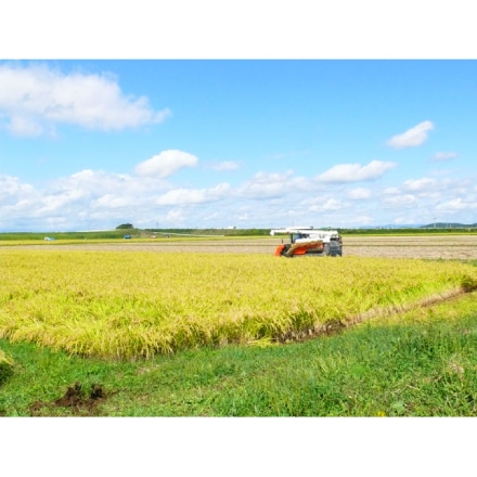 精米 宮城県登米市産 ひとめぼれ 10kg （ 宮城県認証 農薬・化学肥料節減米 ） 令和5年産