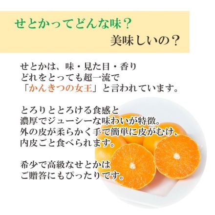 【2025年2月下旬出荷予定】訳あり 愛媛産 せとか 4kg