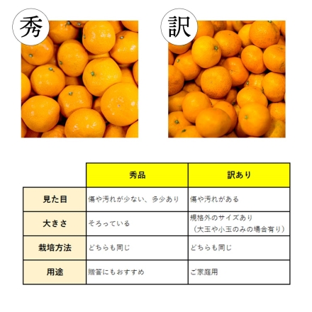 【11月下旬頃より順次出荷】訳あり まどんな 4kg