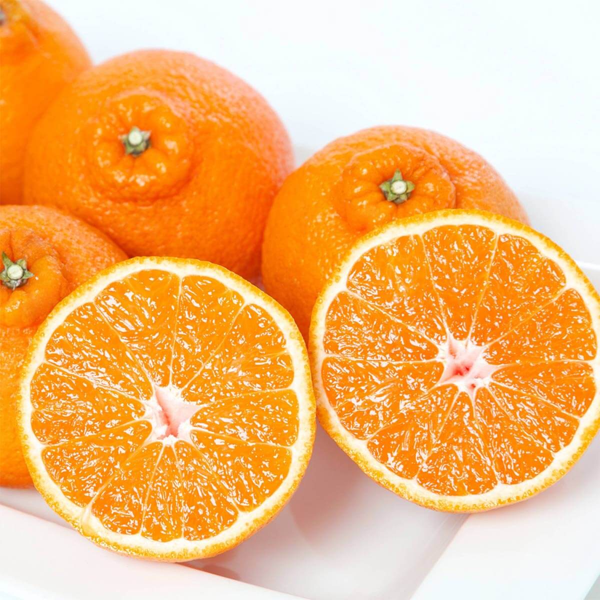 訳あり 愛媛産 不知火 しらぬい 4kg