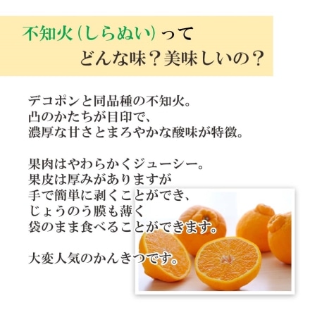 訳あり 【2月下旬頃より順次出荷】せとか 不知火 食べ比べセット 各1.5kg 計3kg