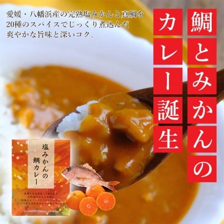 塩みかんの鯛カレー 200g×1箱