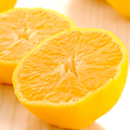 【数量限定】幻のかんきつ 媛小春 2.5kg