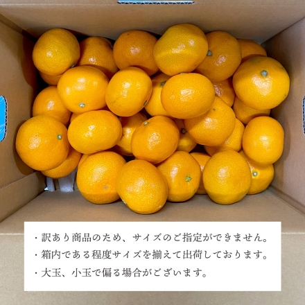 【11月上旬頃より順次出荷】お試し容量 訳あり 愛媛みかん 2kg（2S～3Lサイズ）10個から30個程度