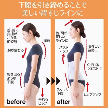 下腹ベルト コルセット お医者さんのがっちり下腹ベルト M-L