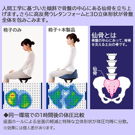 仙骨クッション 仙律 ネイビー アルファックス