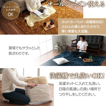 ルフォン 制菌ラグ 130×185cm 3986339 ベージュ