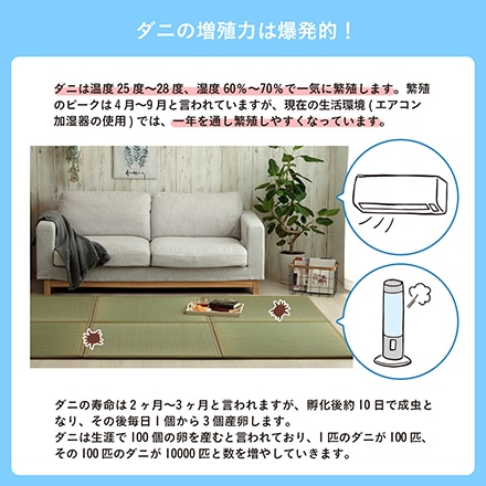 イケヒコ・コーポレーション 滅ダニ 置き畳 82×82×1.8cm 4枚組