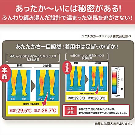 グローバルジャパン 湯たんぽみたいなあったかソックス トープ