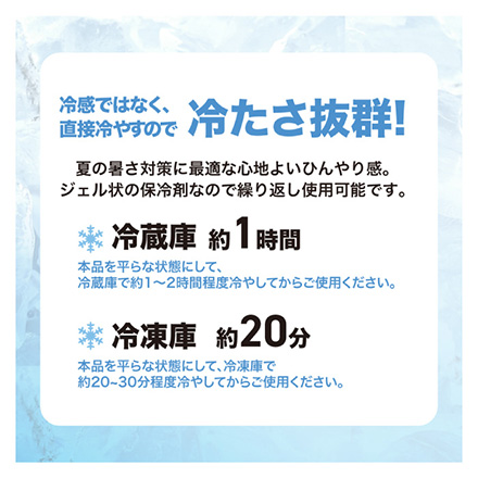 ひんやり ジェルキャリー 背中用 保冷剤 ブルー
