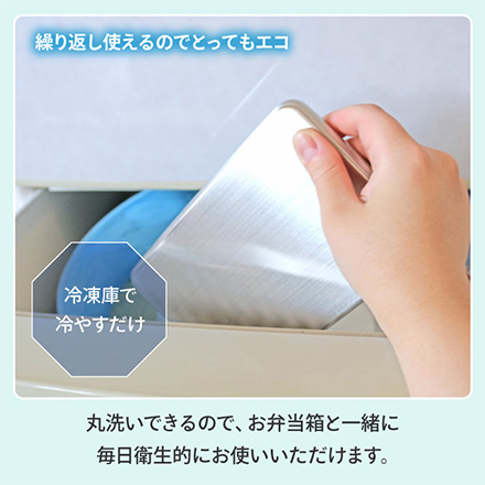 ステンレス保冷剤 1個