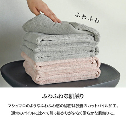 バスタオル シービージャパン カラリデイバスタオル2枚組 グレー