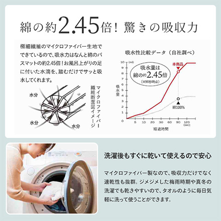 バスマット シービージャパン カラリデイリバーシブルバスマット グレー