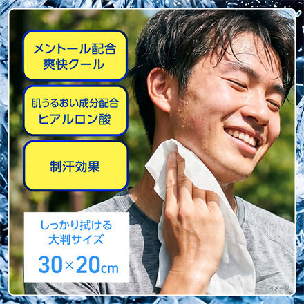 ボディシート 汗拭きシート 極涼 25枚入 2個