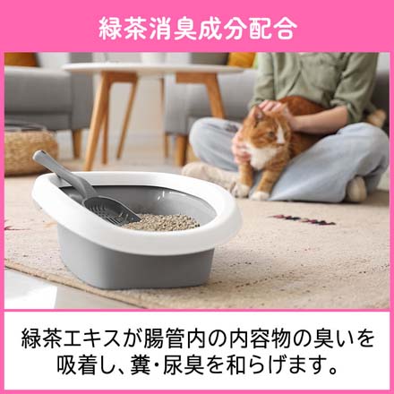いなばペットフード ペットおやつ ちゅーる 20本入 6個 まぐろバラエティ