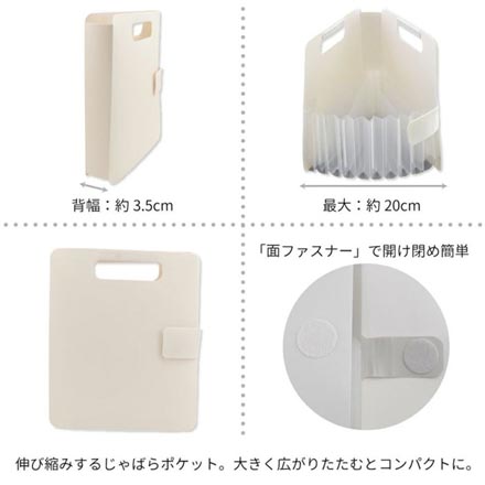 こまごまファイル 仕分けファイル ポケットファイル ミニ パステルピンク FDC