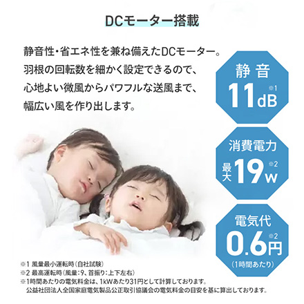 ZENKEN DC FAN 2 DCファン ZEF-DC2 ゼンケン