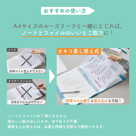 キングジム クリアーファイル カキコ 差し替え式 赤 FDC