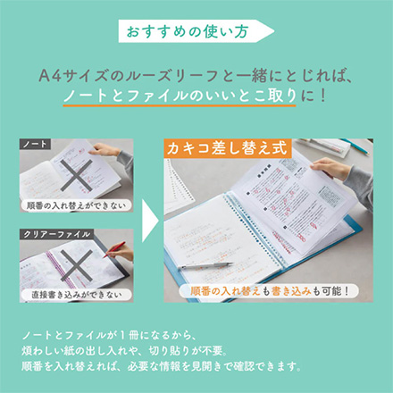 キングジム クリアーファイル カキコ 差し替え式 白 FDC