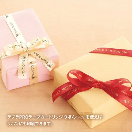 テプラPRO SR170 FDC