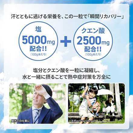 タブレット 匠の塩タブレット BGP3種アソート FDC