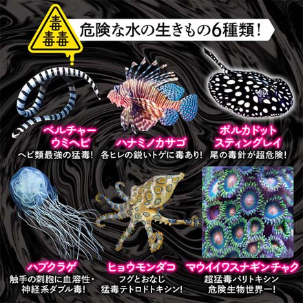 キューブ 危険な水の生き物 60X60X60mm