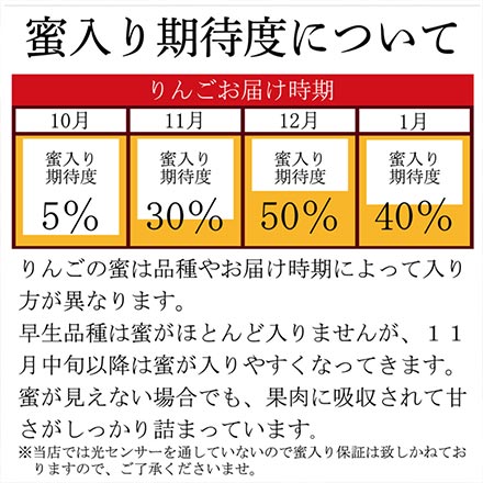 訳あり 山形県産 サンふじりんご 10kg 東北ECグローバル