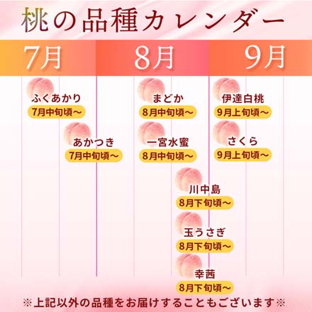 訳あり 福島県産 桃 約 4.7kg 東北ECグローバル