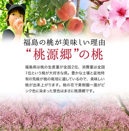 福島県産 桃 光センサー 特秀品 約 2.7kg 東北ECグローバル