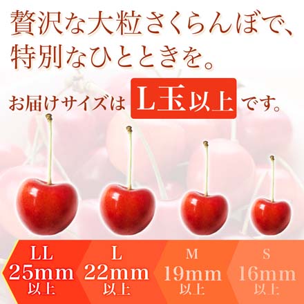 山形県産 さくらんぼ 佐藤錦 紅秀峰 秀品 表面並べ詰め 500g 東北ECグローバル
