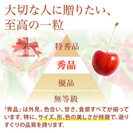 山形県産 さくらんぼ 佐藤錦 紅秀峰 秀品 表面並べ詰め 700g(350g×2p) 東北ECグローバル