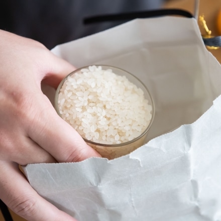 玖珠米 ひとめぼれ 特別栽培米 5kg 令和5年産