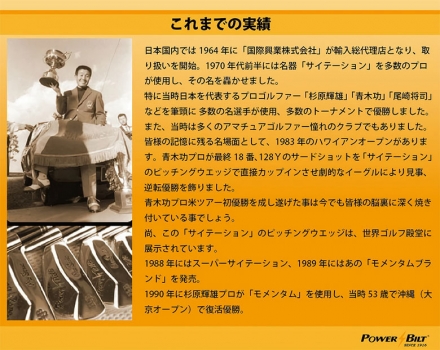 パター付きパワービルト ゴルフ モメンタムサイン アイアンセット 7本組(7-P,A,S,PT) カーボン/R