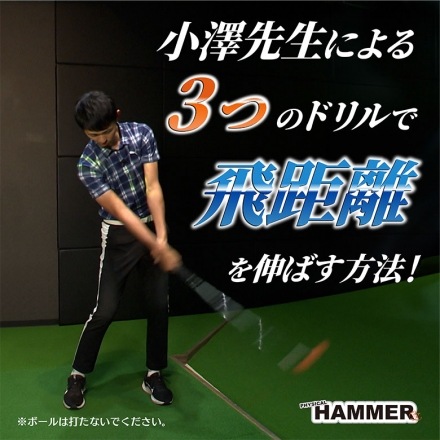 リンクス フィジカルハンマー 超重量 練習器具 PHYSICAL HAMMER 素振り スイング練習機 34.25インチ