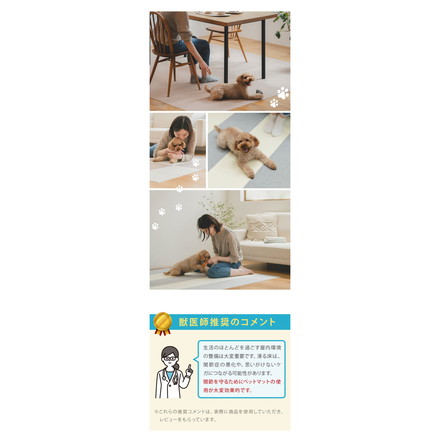 SankoPet 日本製 ペット用 マット タイルマット 肉球柄 30×30cm 2枚入 撥水 滑り止め 洗濯可 サンコーペット ベージュ