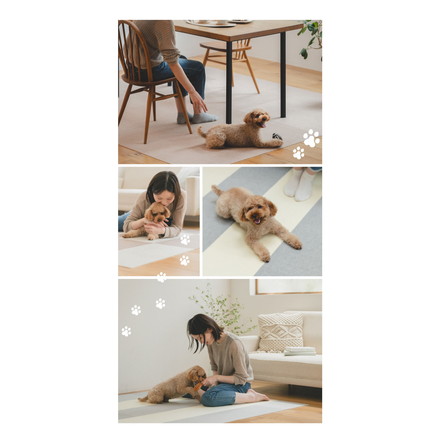 SankoPet 日本製 ペット用 階段マット 55×21cm 13枚入り 滑り止め 滑落防止 撥水 洗濯可 サンコーペット ベージュ