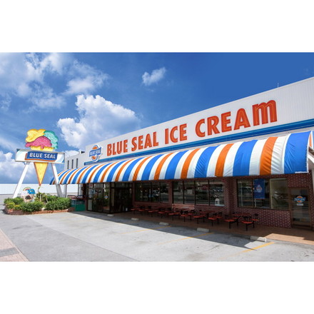 ブルーシール アイス 12個セット 12種 アソート 詰め合わせ ギフト 12個入り