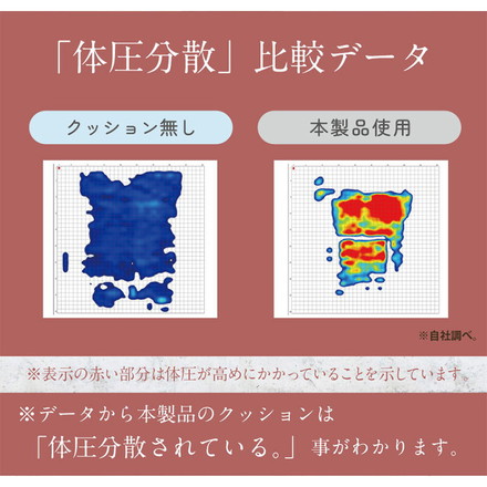 整体院の先生監修 快適支座 腰編 クッション 腰 姿勢を正す サポートクッション 46×38cm 姿勢見直し 負担軽減
